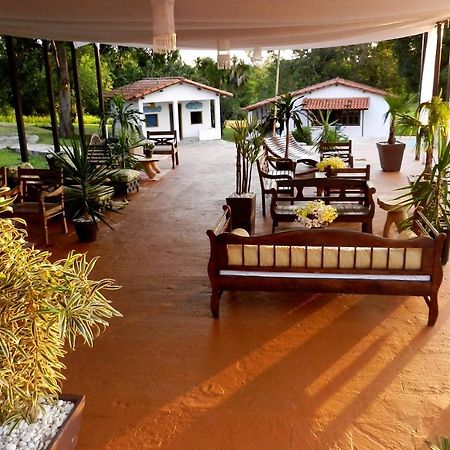 Raizama Fazenda Hotel Alexania 외부 사진